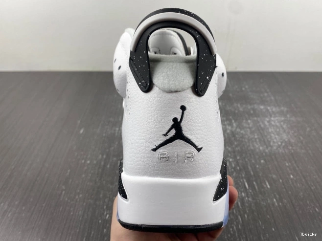 Reps TBK Reverse Jordan 6 Air CT8529-112 Oreo 0807